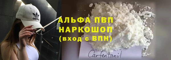apvp Инта