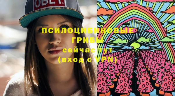 apvp Инта