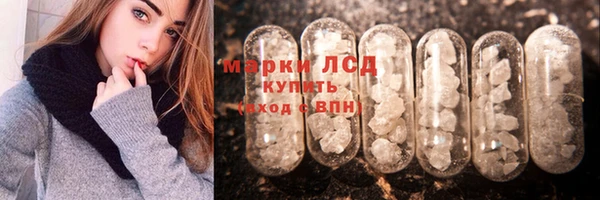 apvp Инта