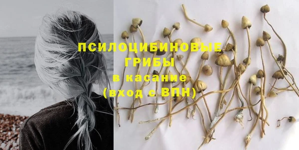 ГАЛЛЮЦИНОГЕННЫЕ ГРИБЫ Инсар