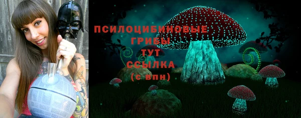 молекула духа Зеленокумск