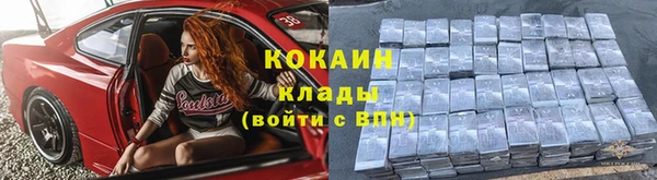 apvp Инта