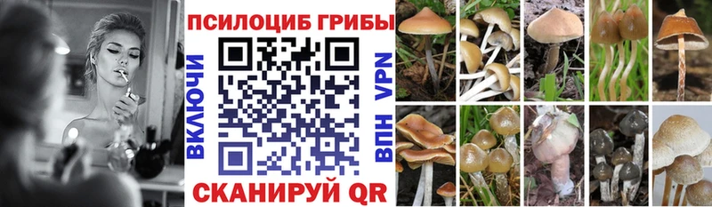 Псилоцибиновые грибы MAGIC MUSHROOMS  Купить  Тосно 
